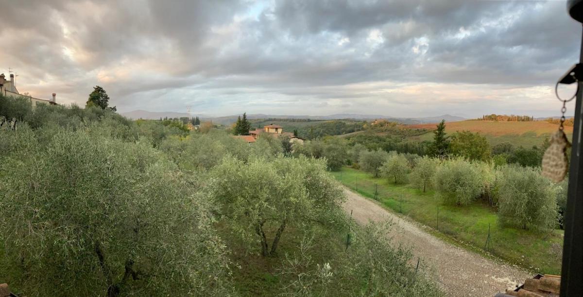 La Casa Delle Rondini *